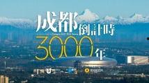 国产外围